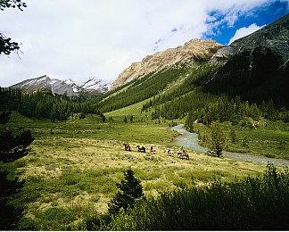 《无主之地4》老朋友介绍！3代顶尖杀手赞恩正式回归