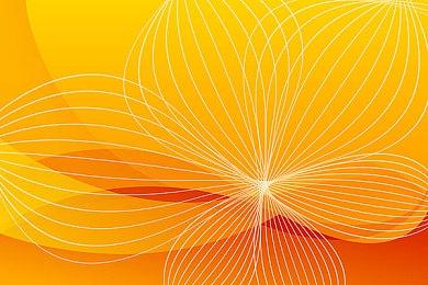 《虫姬》实体版8月29日登陆Switch 经典弹幕射击