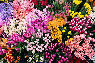 《神之亵渎2》确定2023年发售 登陆平台待定